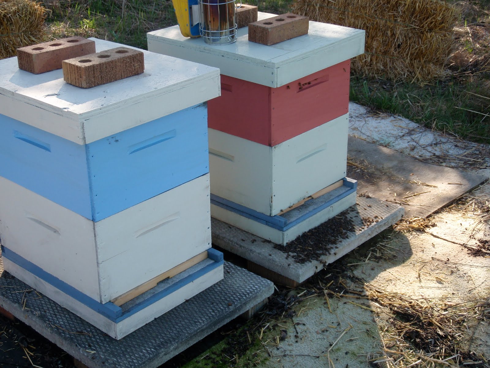 bee hives
