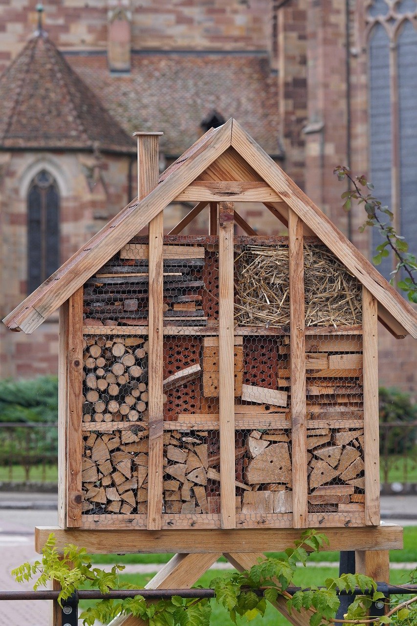 bee hotel