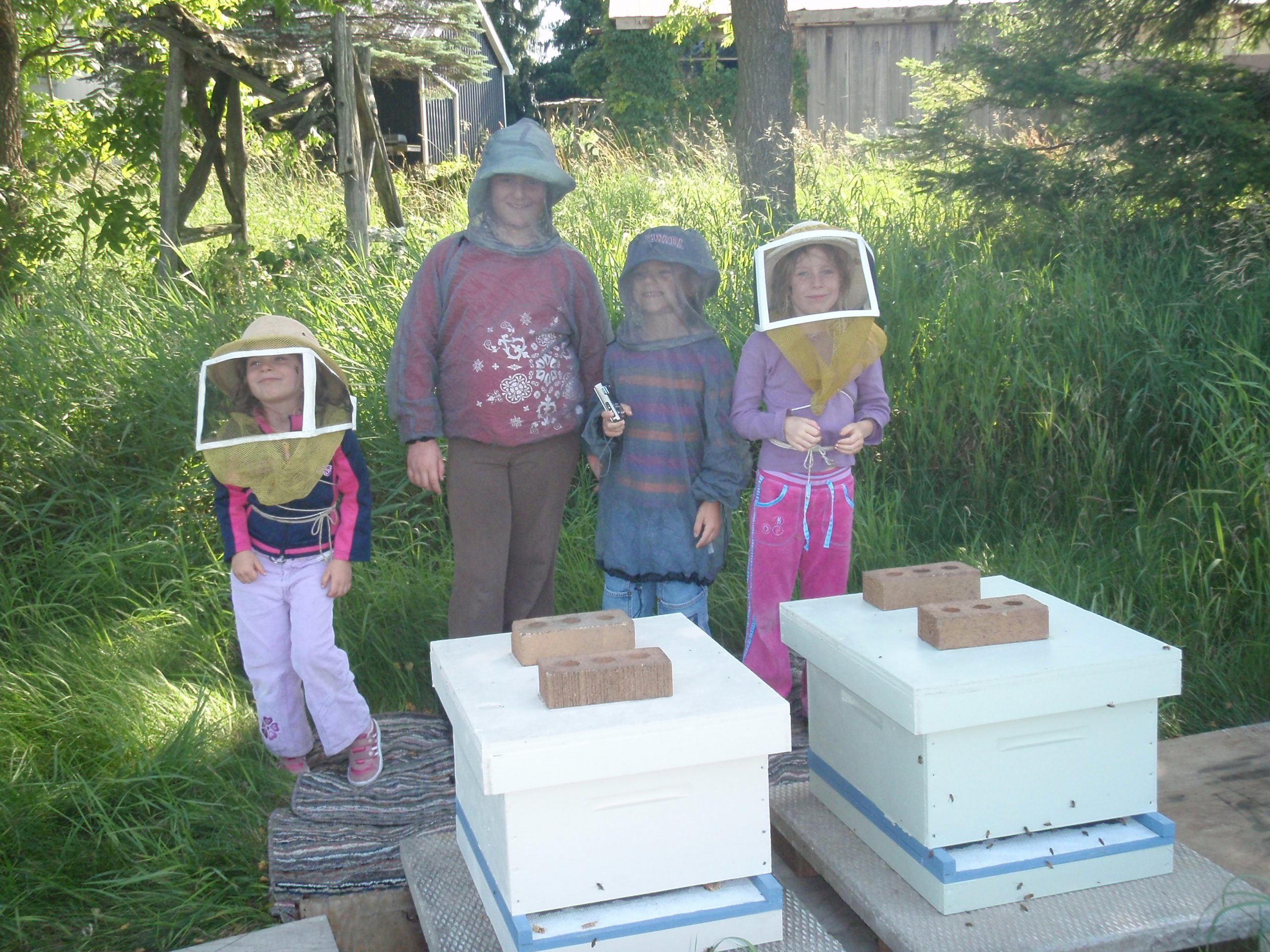 junior beekeepers