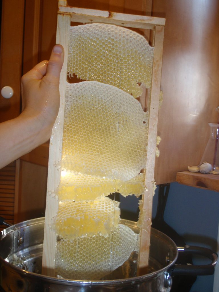 honeycomb