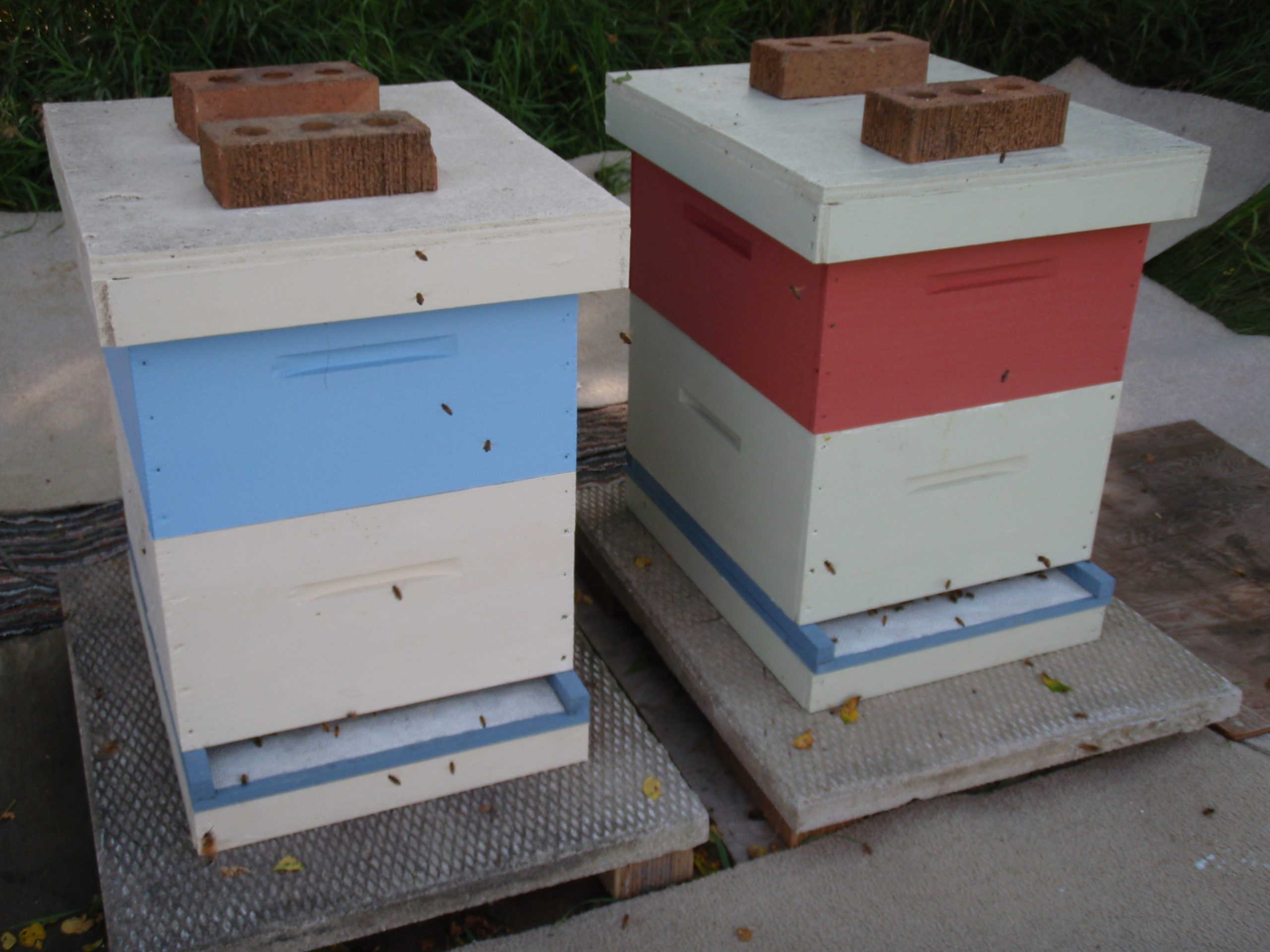beehive second brood chamber