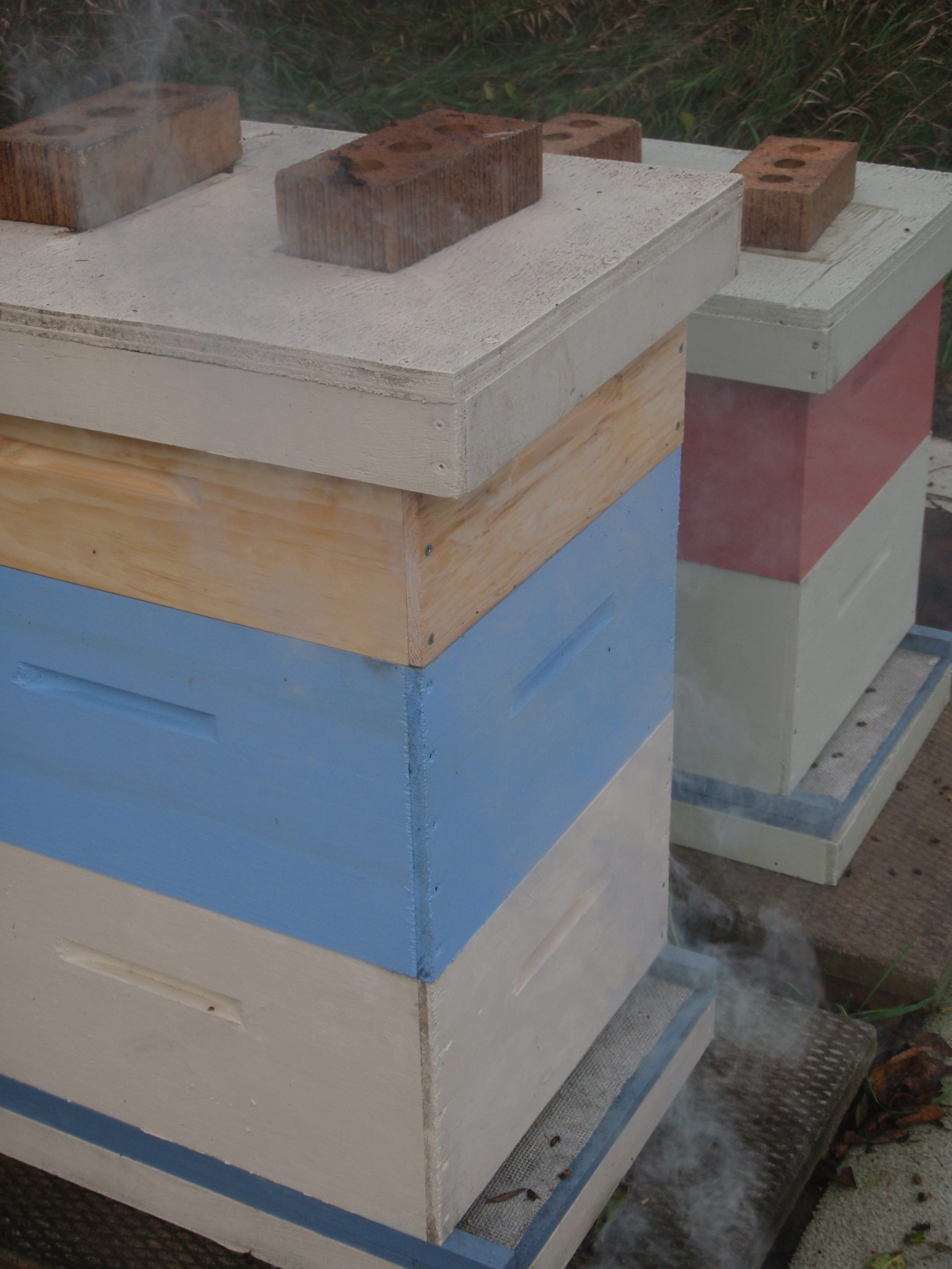 prepping hives for winter