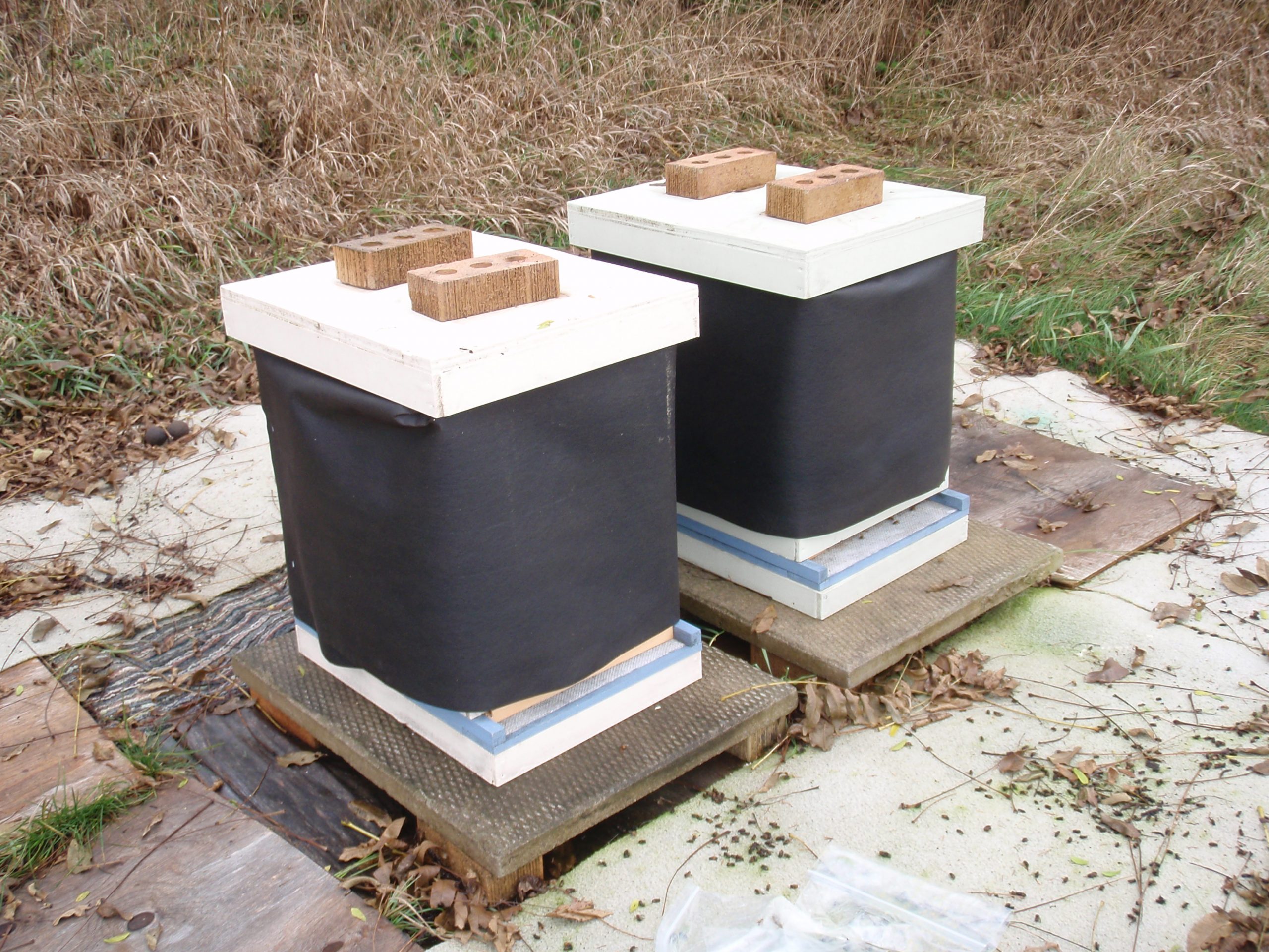 hives prepped for winter
